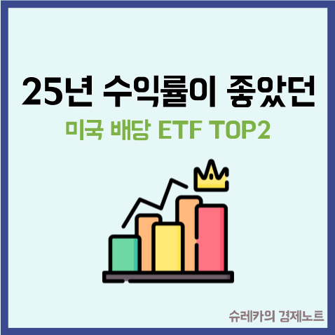  25년 수익률이 좋았던 미국 배당 ETF TOP2