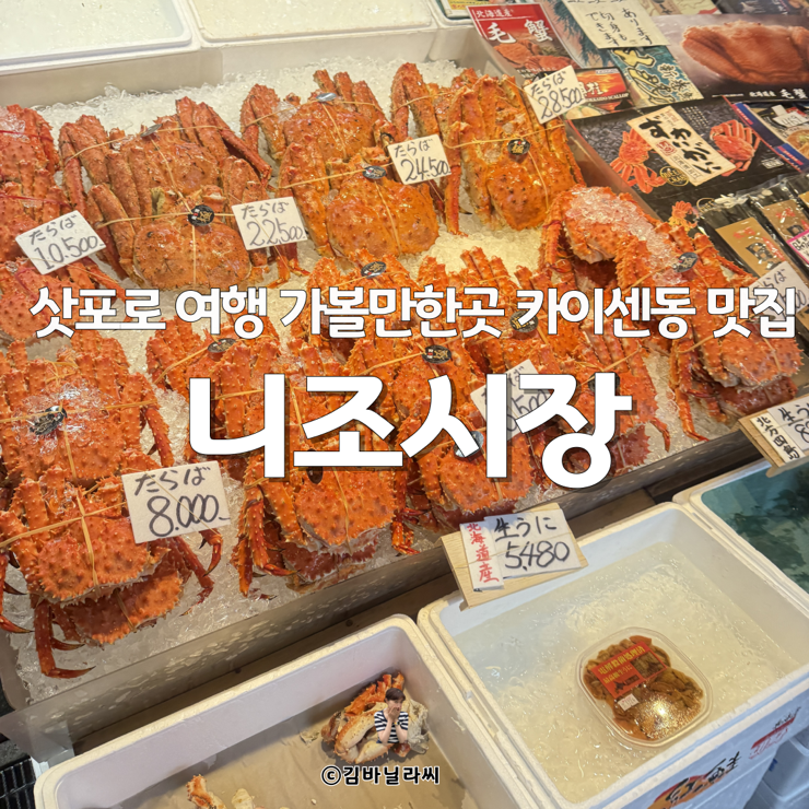  삿포로 여행 가볼만한곳 니조시장 카이센동 맛집 위치 시간 찾아가는법 꿀팁
