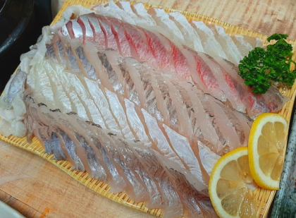 경주 보문단지 맛집 '신라회센타'