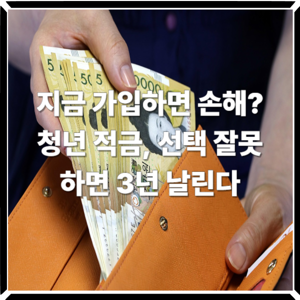 월 50만 원으로 2천만 원 가능? 청년미래적금이 유리한 사람은 따로 있다
