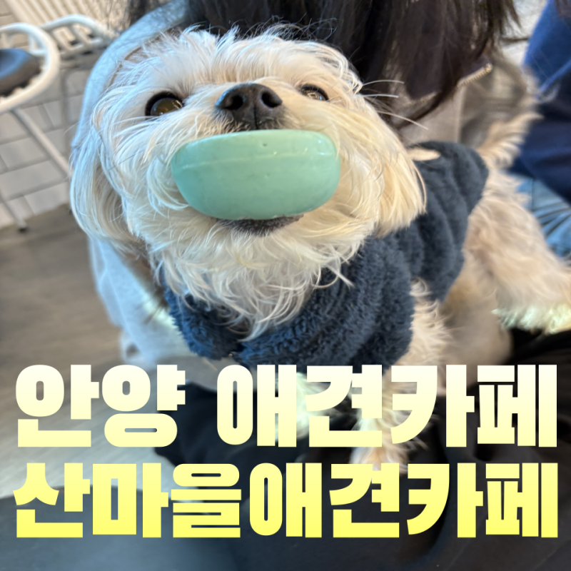 사진 2