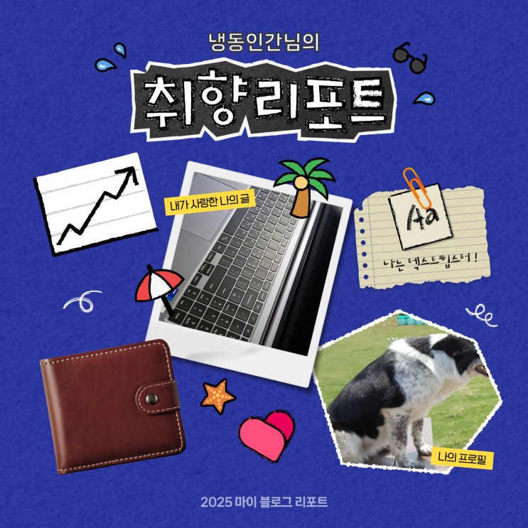 [2025 마이 블로그 리포트] 데이터로 채워보는 내 블로그 취향 리포트