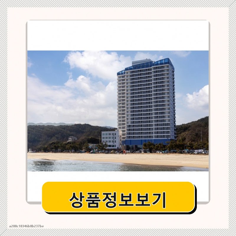 [강원 양양] BLUE12 양양 네오스죽도해변점 초세일중주문