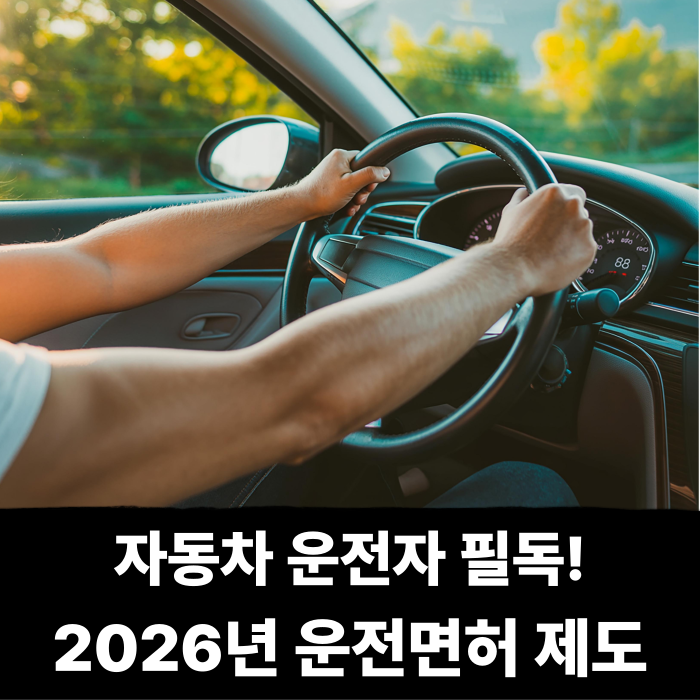  자동차 운전자 필독! 취득보다 관리가 더 중요한 2026년 운전면허 제도