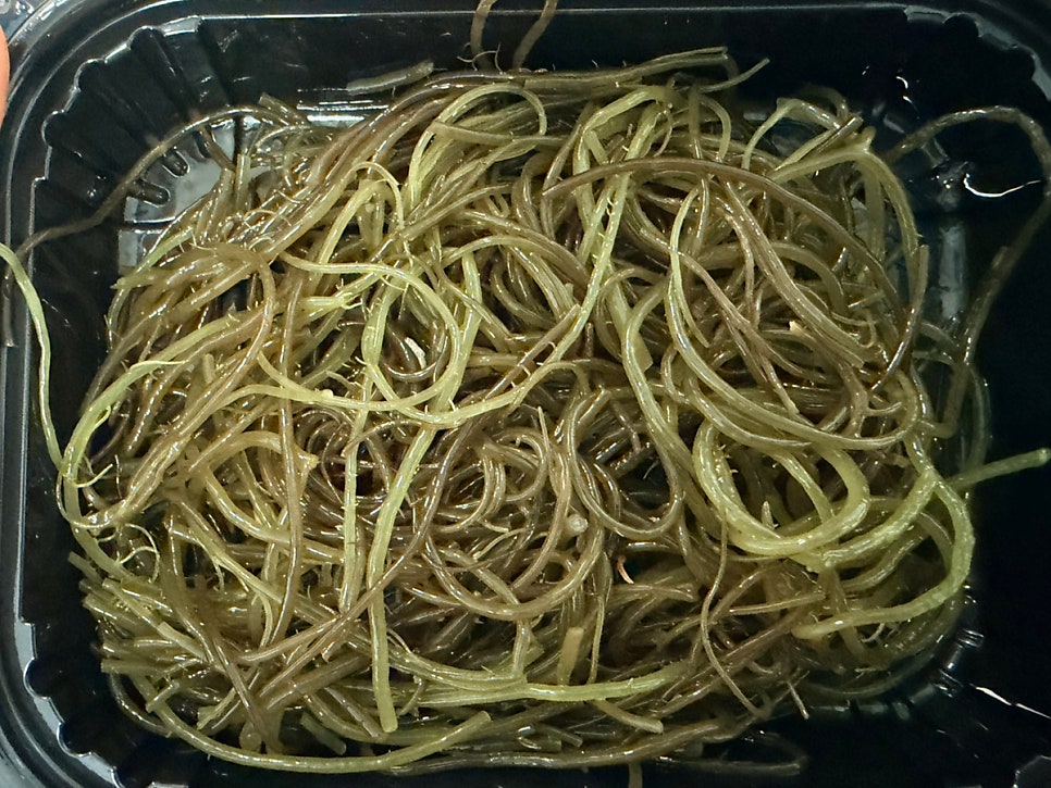 회판당 사진 6