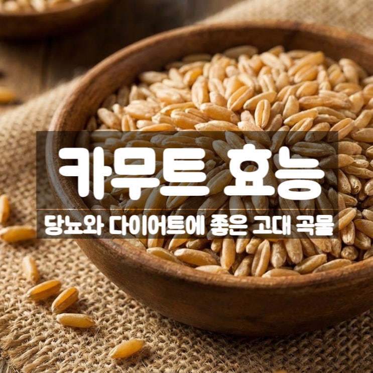  카무트 효능 부작용 먹는법 보관법 – 혈당관리에 좋은 고대곡물