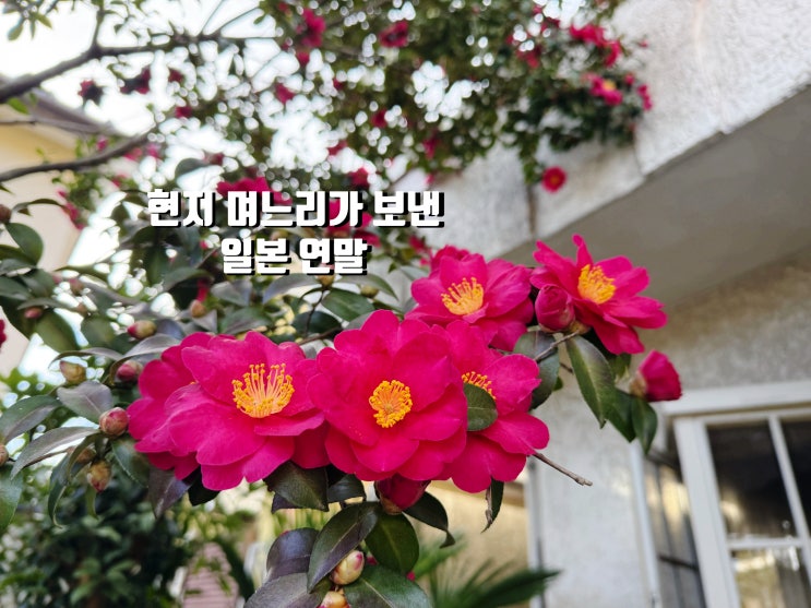  일본 문화, 연말 풍경 일본 가정은 이렇게 한 해를 마무리합니다