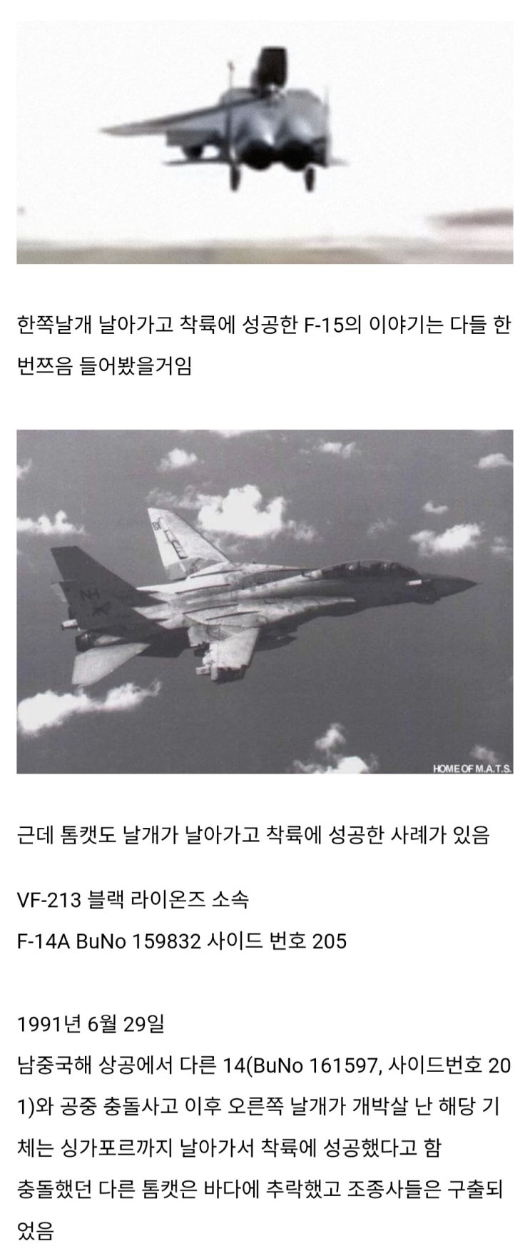  F-15 말고도 한쪽날개없이 착륙한 기체가 있다?