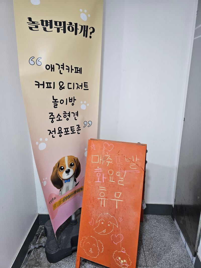 사진 4