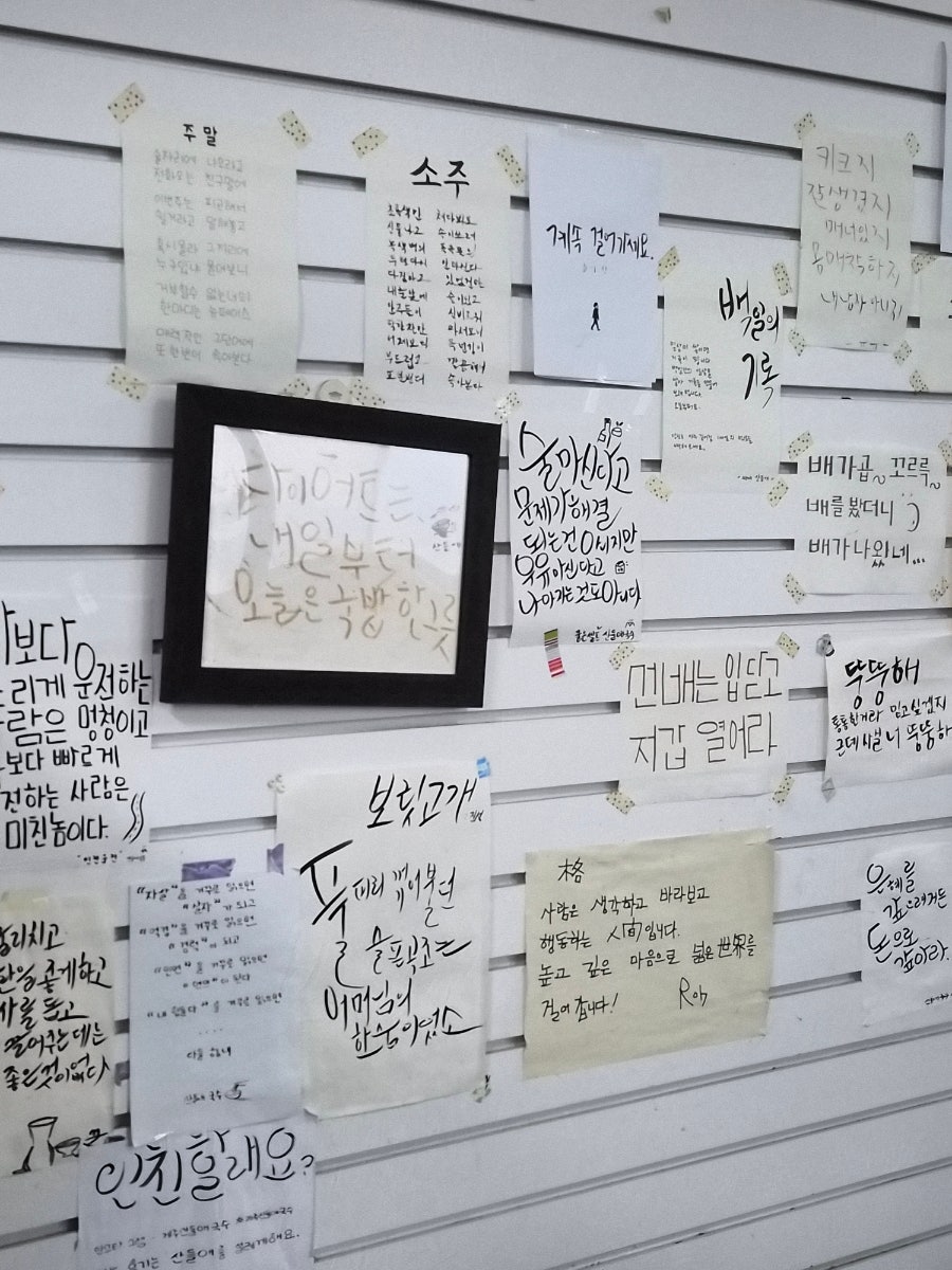 산들애국수 사진 6