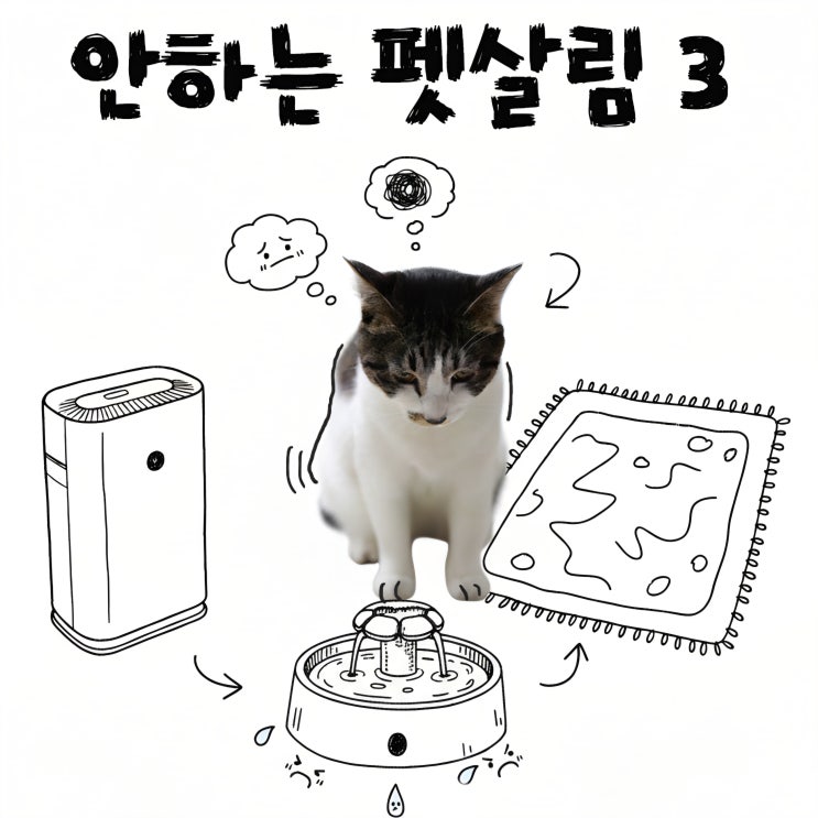  요즘 고양이 반려가정에서 일부러 안하는 살림3가지
