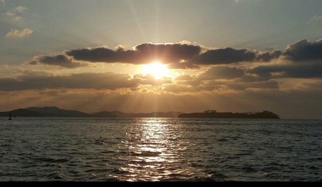  이웃님들 2026년 병오년(丙午年)새해는 행복하세요