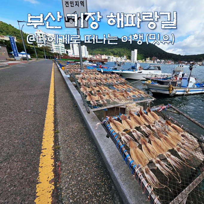  부산 해파랑길 2코스와 갈맷길 트레킹 여행(기장 대변항 낚시)