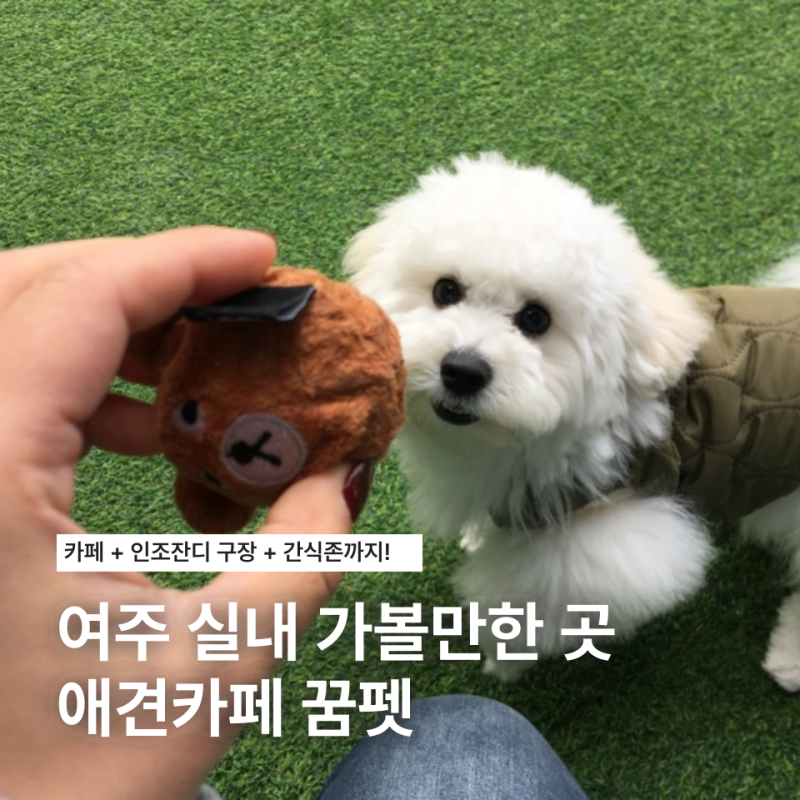 사진 7