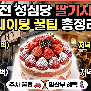 대전 성심당 딸기시루 웨이팅 꿀팁: 오픈런 vs 저녁 구매, 주차부터 임산부 혜택까지 총정리