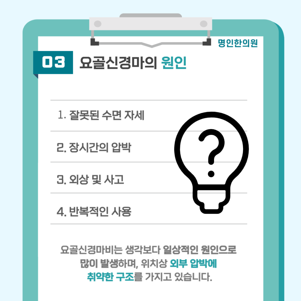요골 사진 4