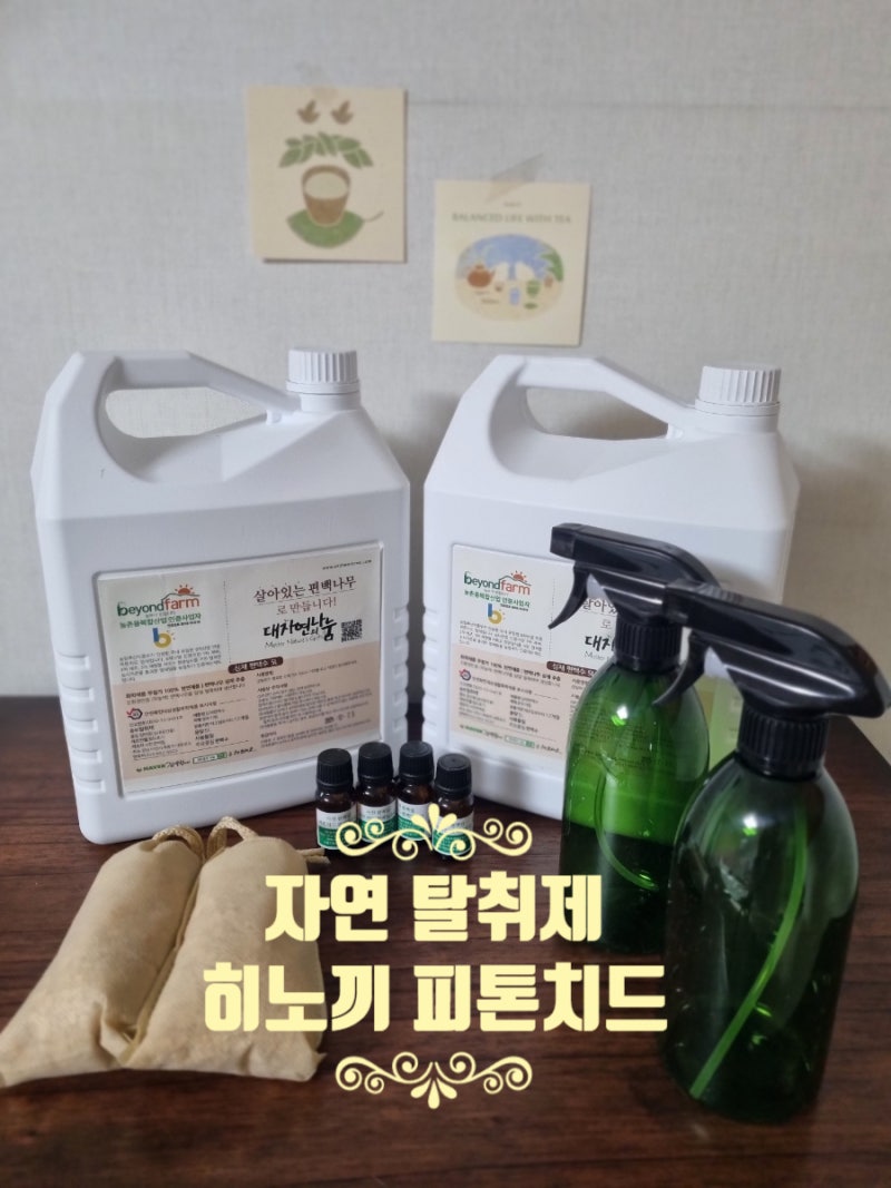 대용량 탈취제 추천 피톤치드 편백수 룸스프레이 후기