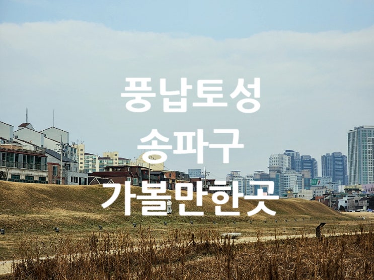  서울 송파구 가볼만한곳 반려견과 산책하기 좋은 풍납토성