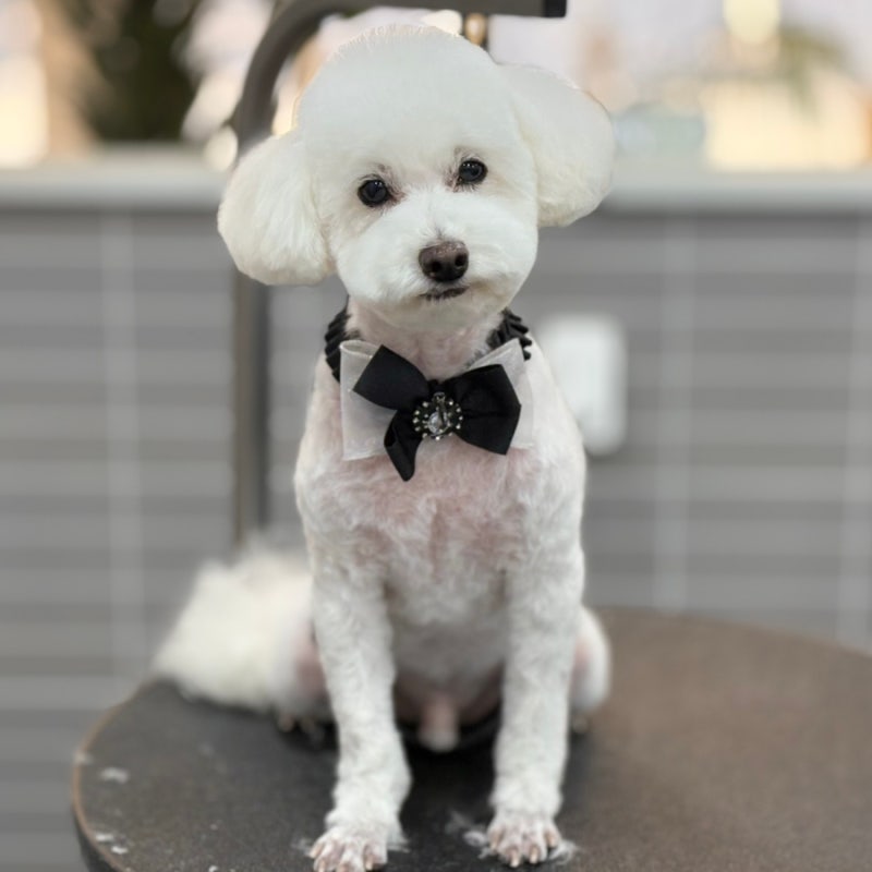 헤이멍