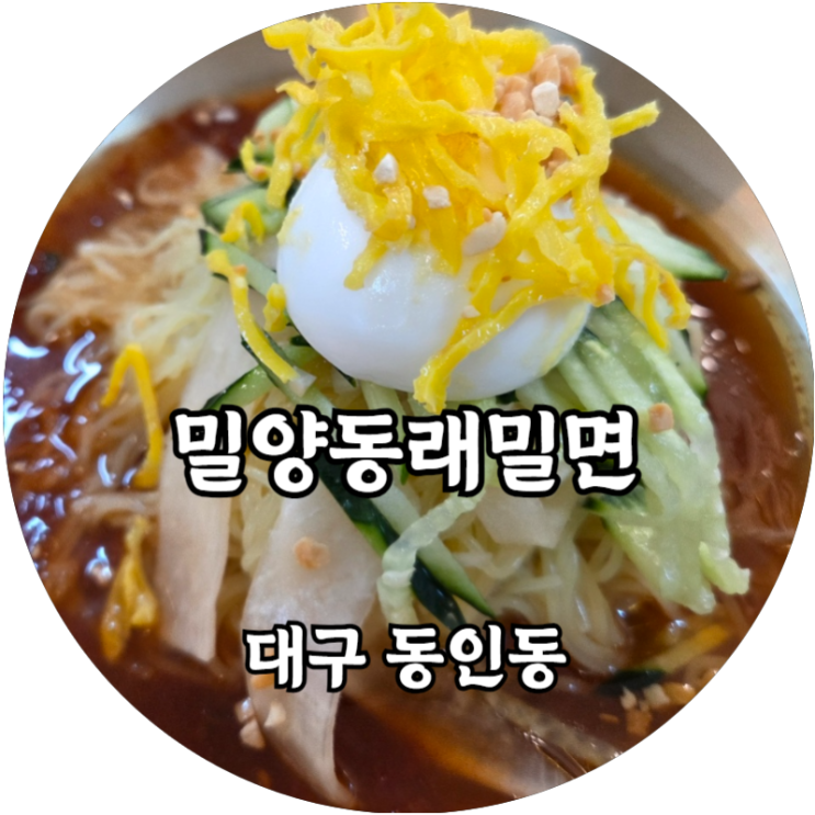  대구 동인동 깔끔하게 맛있는 자가제면 밀양동래밀면
