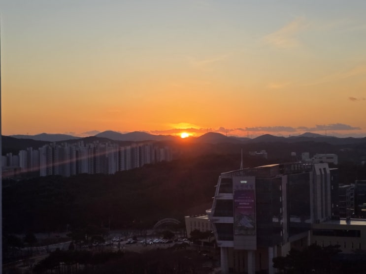  올해가 가기 전 챙겨볼 것들