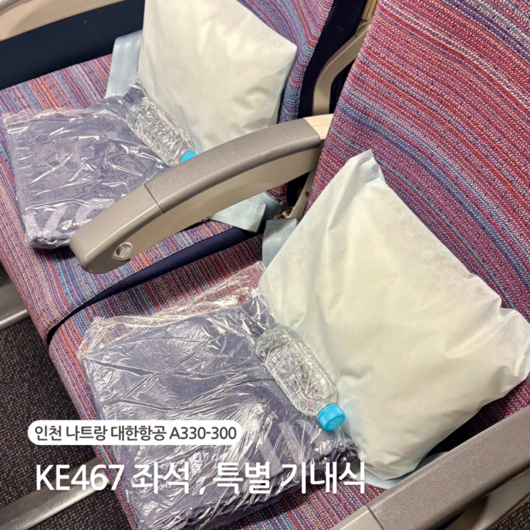  인천 나트랑 대한항공 KE467 A330-300 특별 기내식 글루텐프리식 탑승 좌석 추천