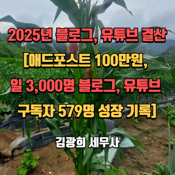  2025년 블로그, 유튜브 결산 [애드포스트 100만원, 일 3,000명 블로그, 유튜브 구독자 579명 성장 기록]
