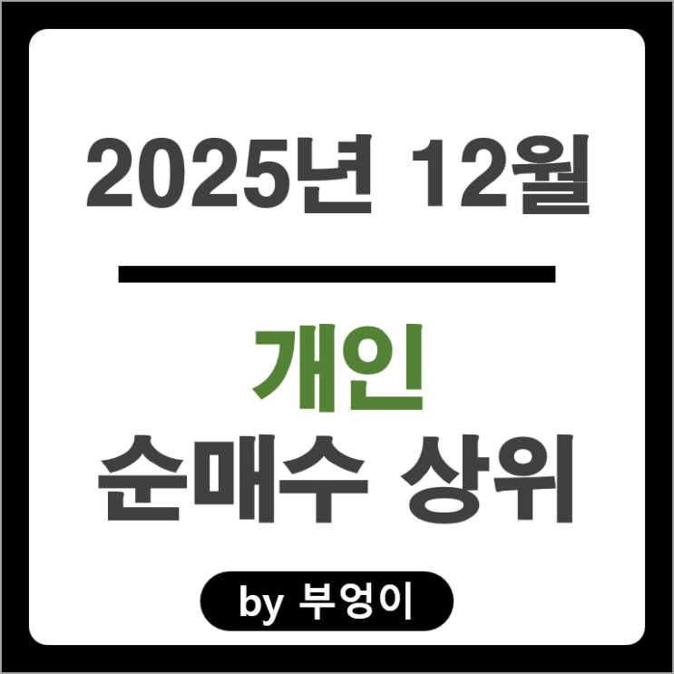 12월 개인 순매수 국내 주식 두산에너빌리티 두산 네이버 주가