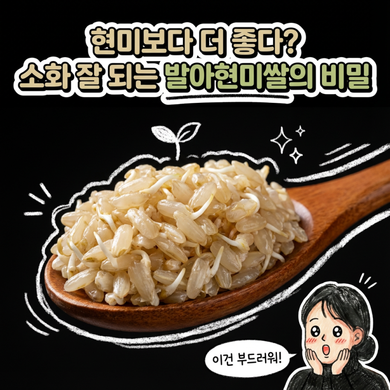 발아현미 현미 차이 먹는법 쌀밥 효능 부작용