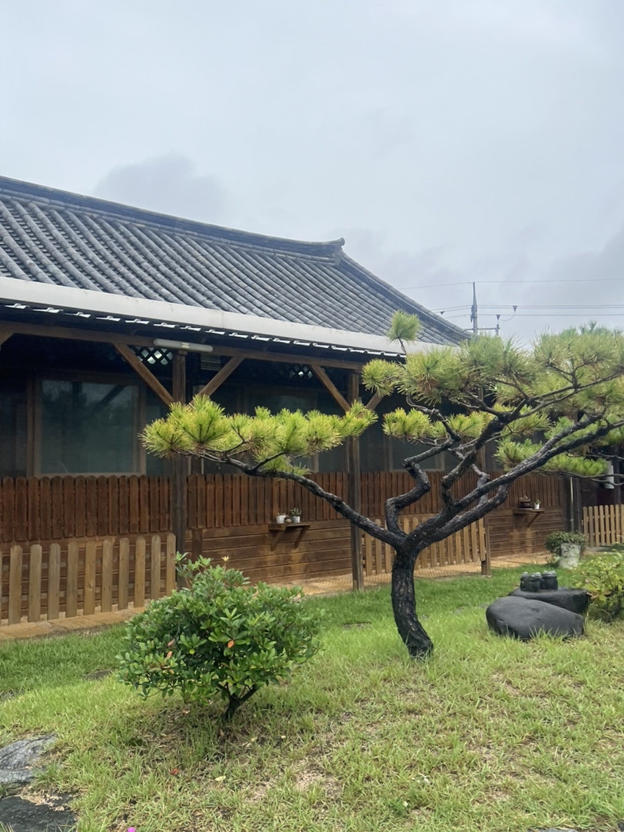 대풍식육식당 사진 5