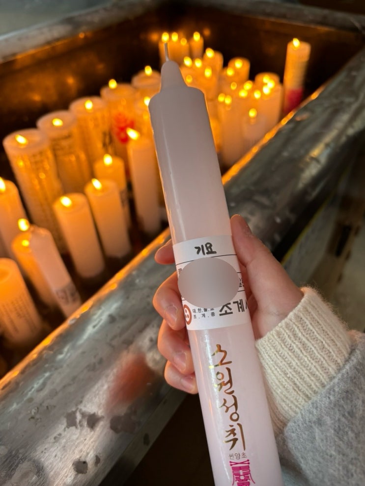  2026 신년맞이 소원 빌러 조계사 방문기 : 공양초 소원초 가격,  종류