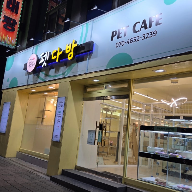 사진 4