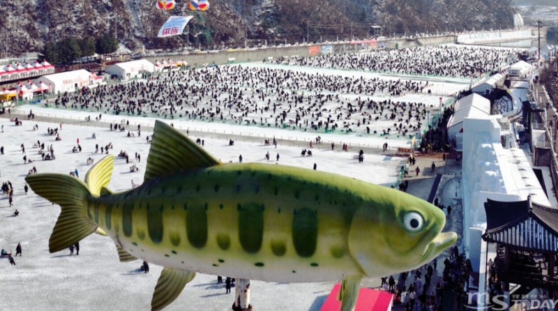 2026 얼음나라화천 산천어축제 기간 및 즐길거리