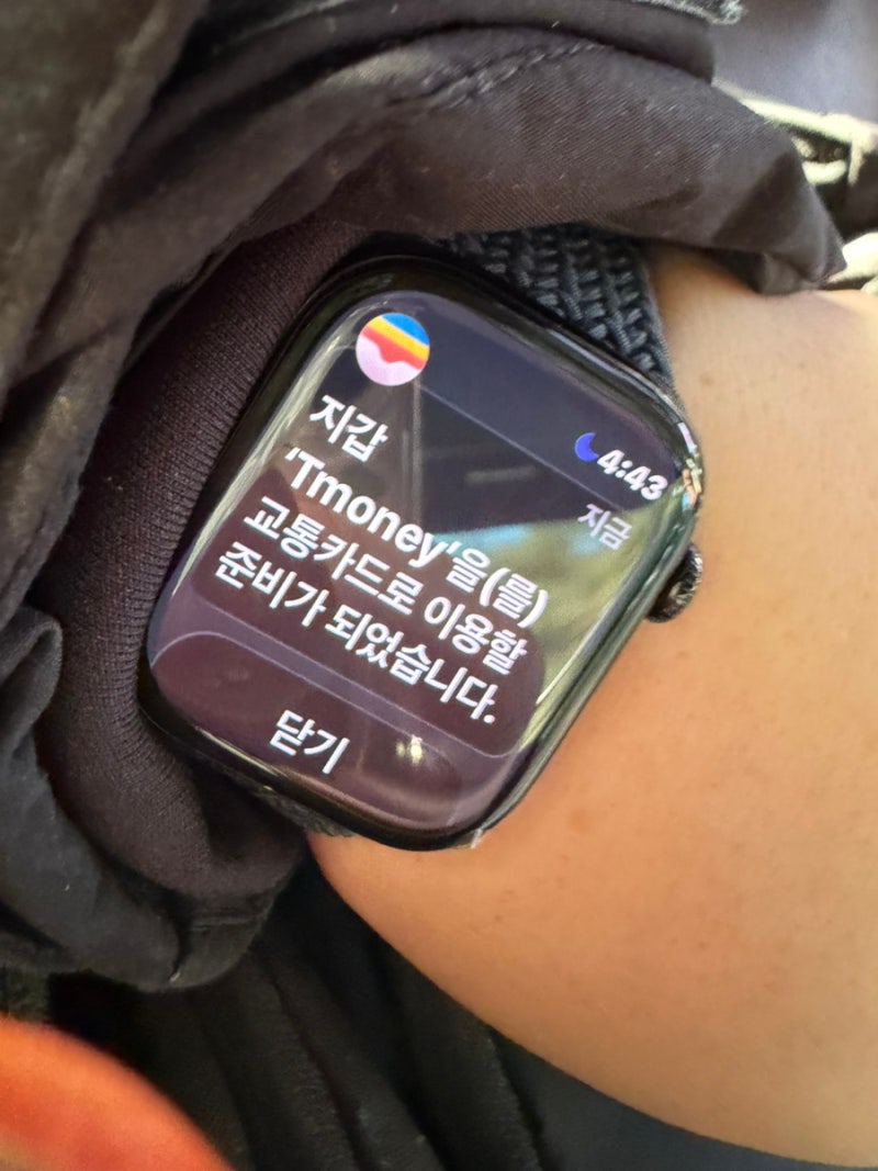 애플페이 티머니 오류 애플워치 티머니 안됨 해결방법 직접 겪은 후기 3달