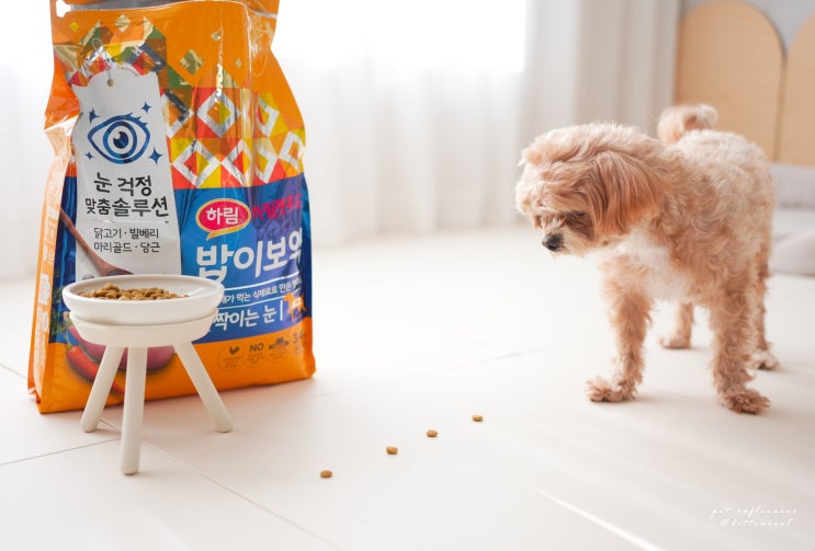  강아지 눈물자국 사료 추천하는 반려견사료