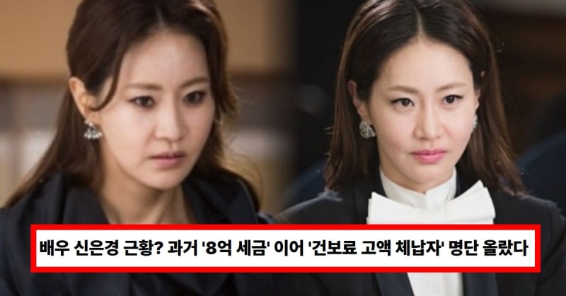 배우 신은경 근황? 과거 '8억 세금' 이어 '건보료 고액 체납자' 명단 올랐다 (+거짓 모성애 논....