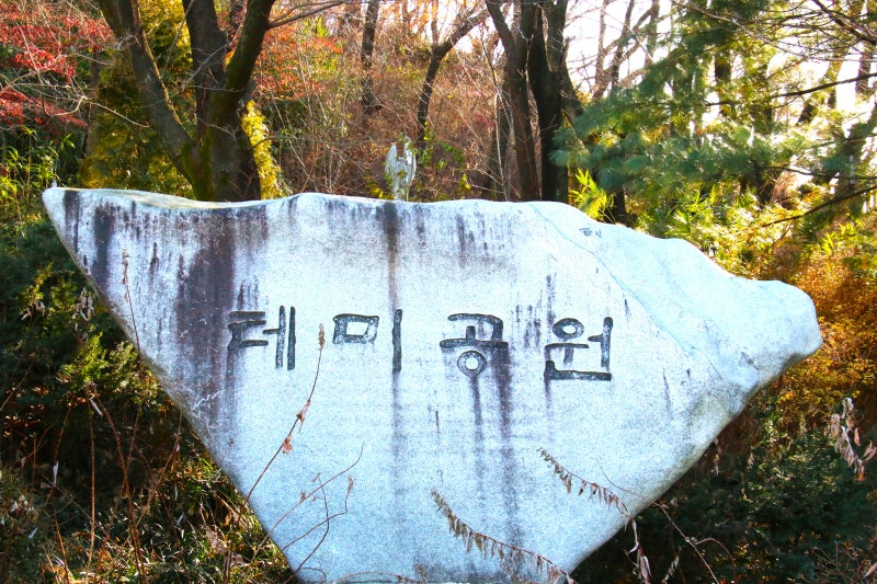 사진 2