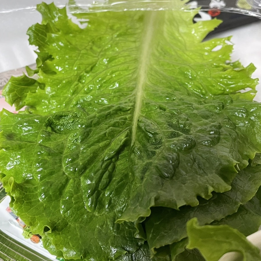 동해수산횟집 사진 4