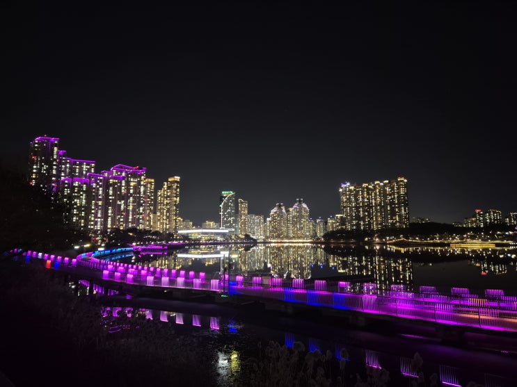[2026 서울마라톤 훈련 일지] - 12월 결산