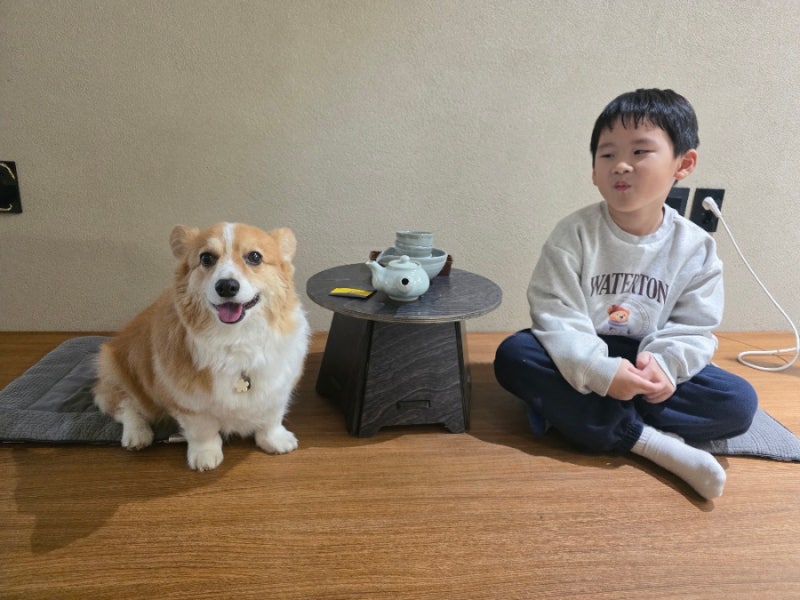 사진 7