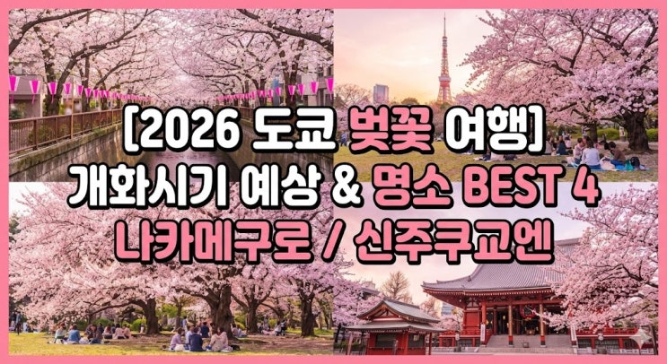  [2026 도쿄 벚꽃 개화시기] 예상 날짜 & 인생샷 명소 BEST 4! 3월 4월 날씨 옷차림