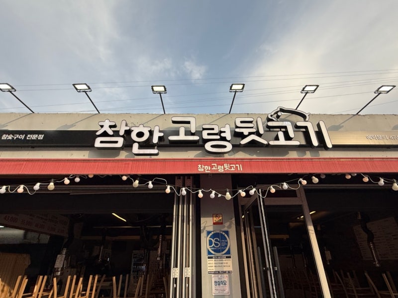 사진 9