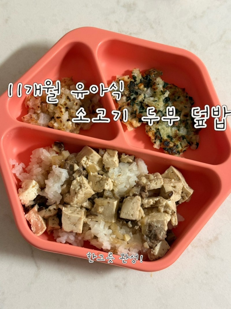 11개월 아기 유아식 소고기 두부 덮밥 레시피 | 부드러운 한그릇 메뉴