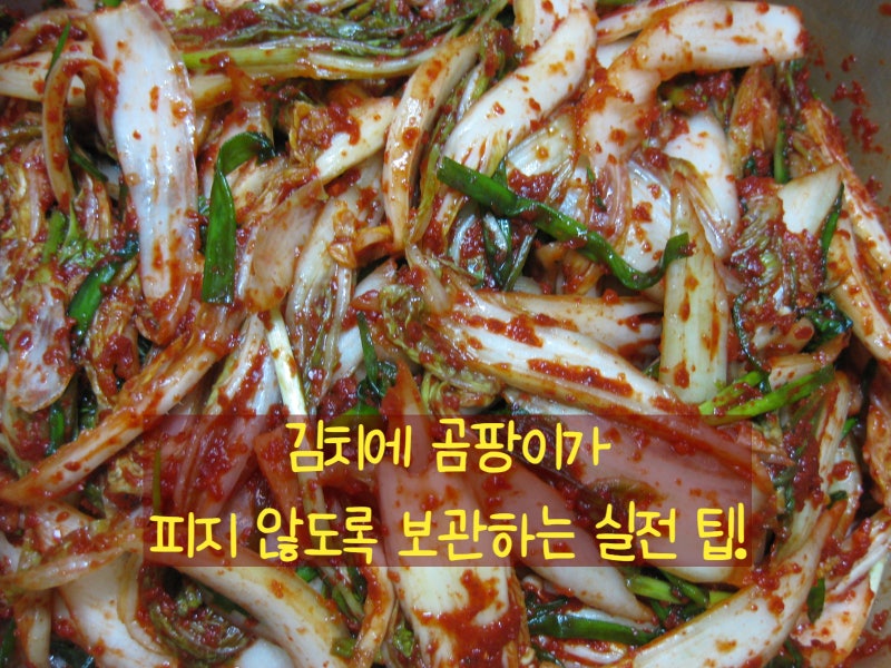 장류(된장, 간장, 고추장)와 김치에 곰팡이가 피지 않도록 보관하는 실전 팁!