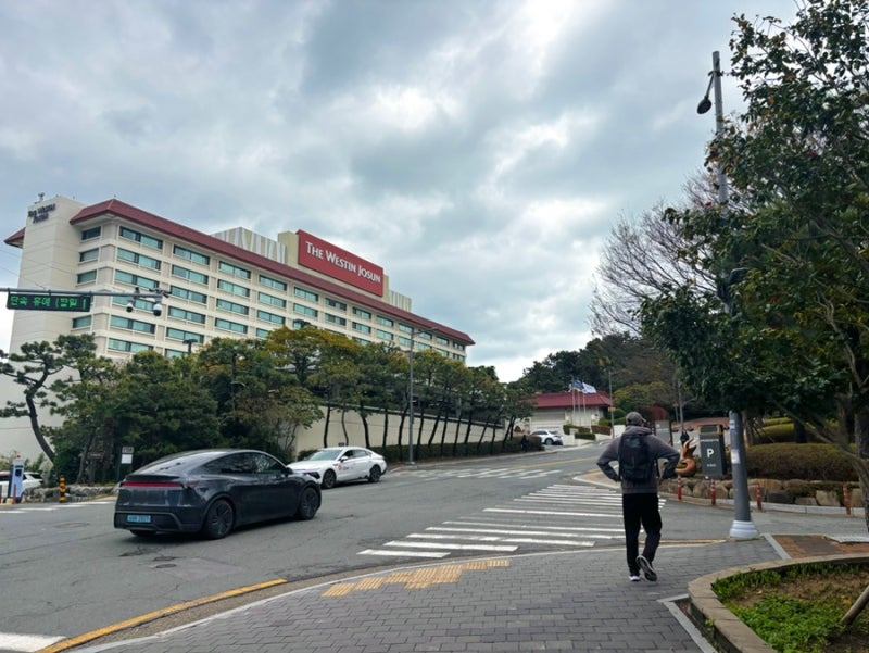 사진 10