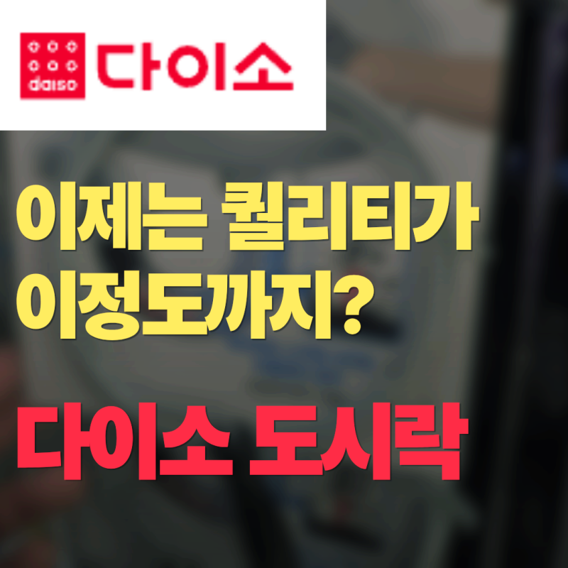 "이게 천 원이라고?" 다이소 도시락 11종 직접 비교했더니, 진짜 살 거 따로 있었다