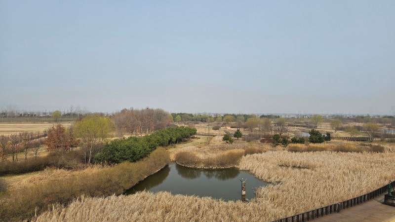 사진 4