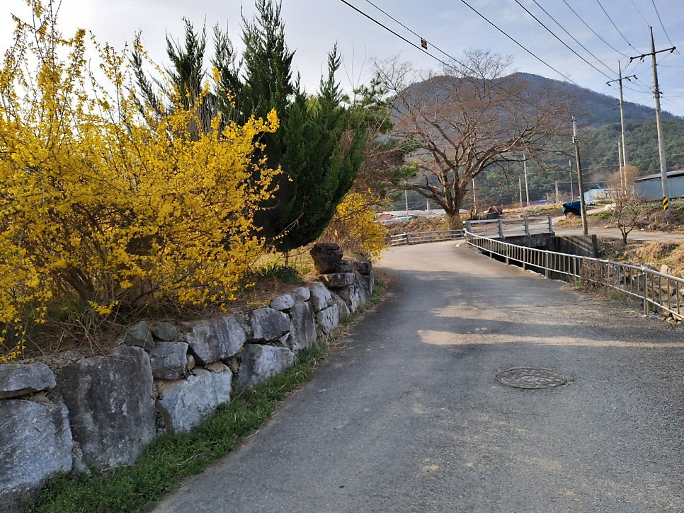 삼성산 사진 3
