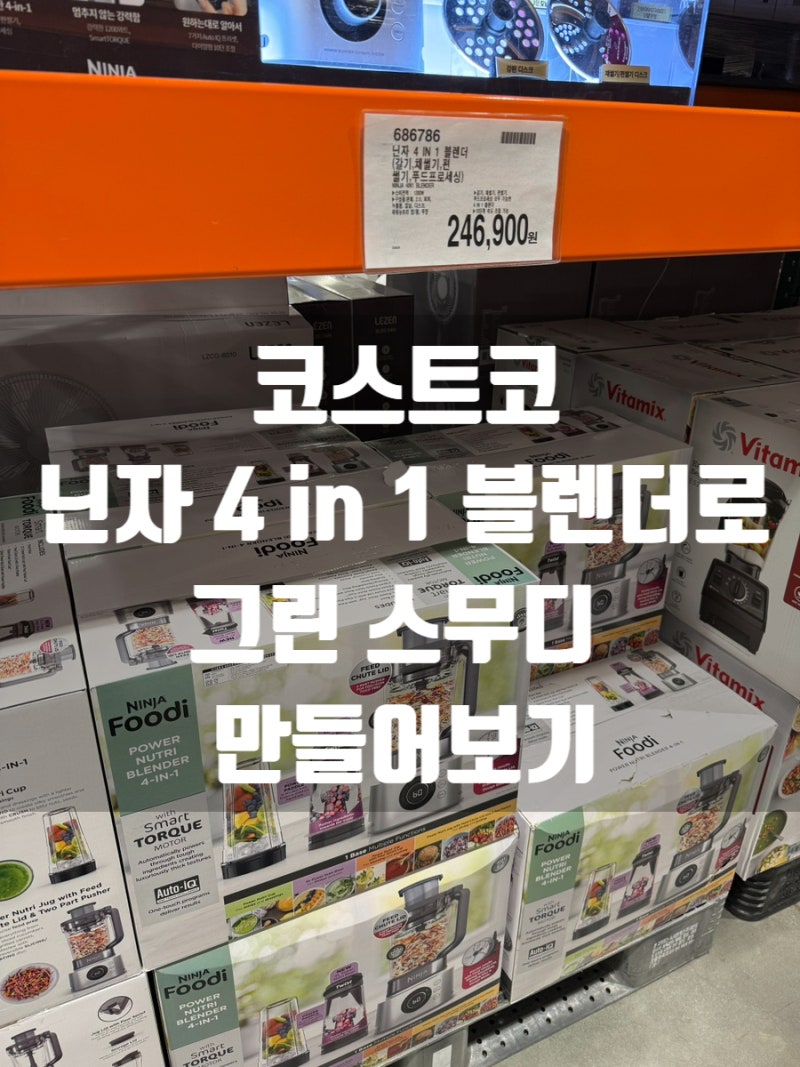 코스트코 닌자 블렌더로 만든 그린 스무디 후기