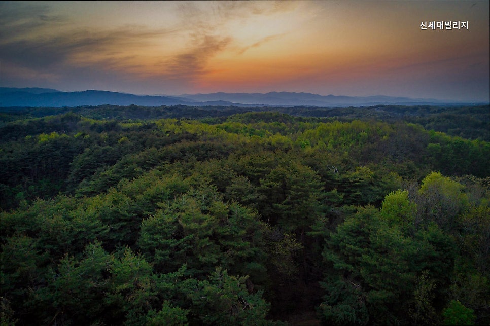 신세대빌리지 사진 3